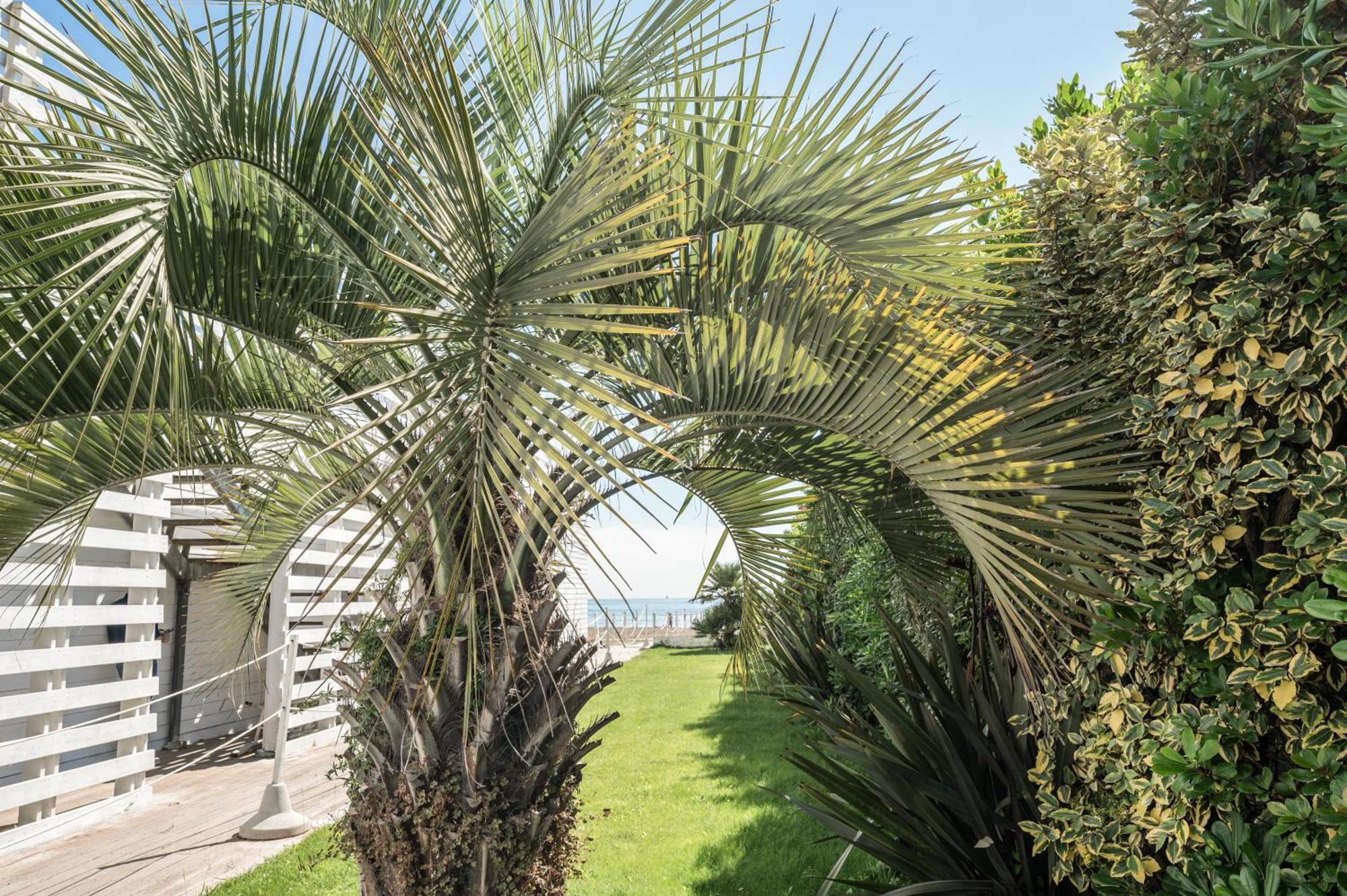 Terme Beach Resort Punta Marina Extérieur photo
