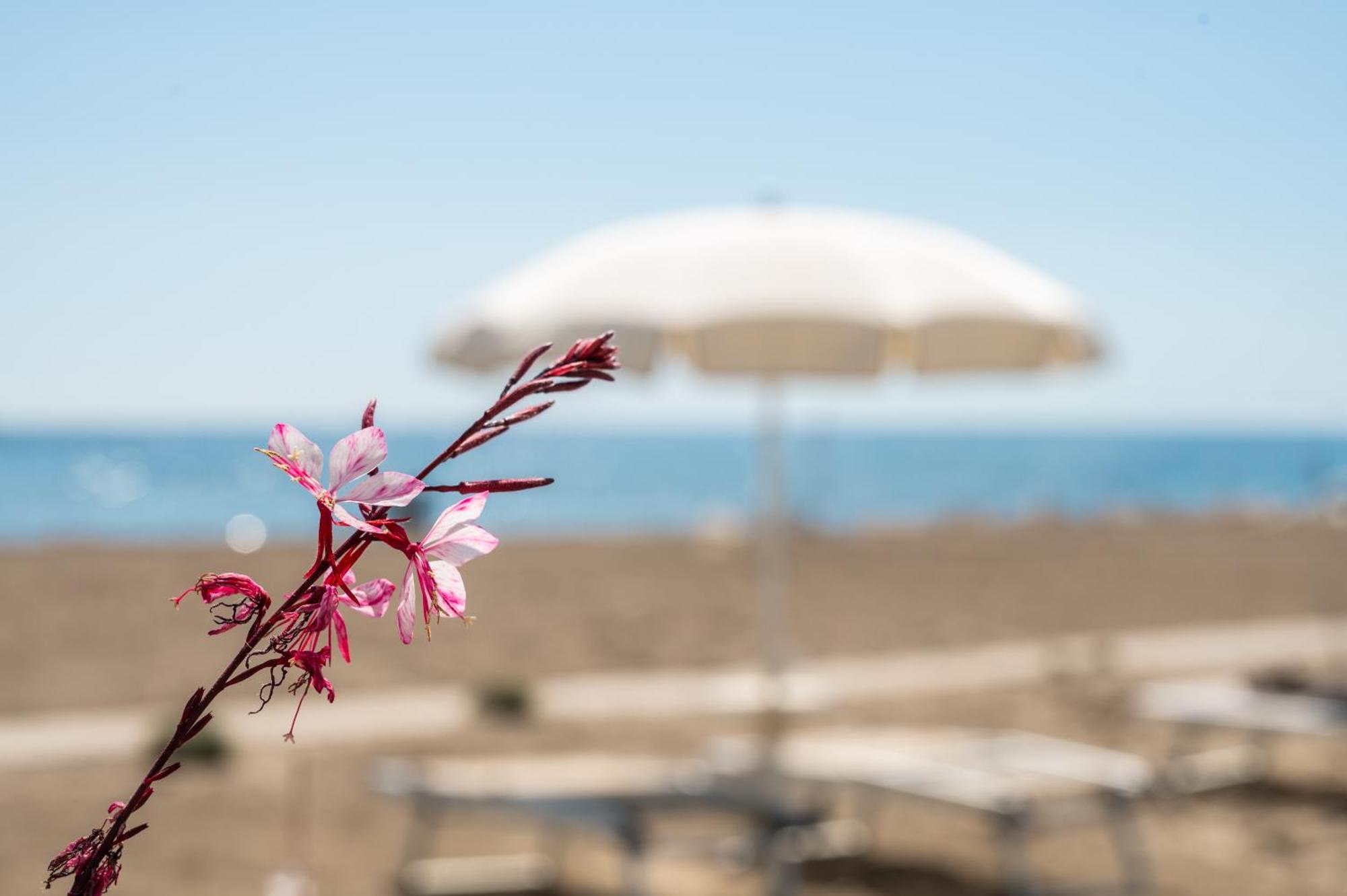 Terme Beach Resort Punta Marina Extérieur photo