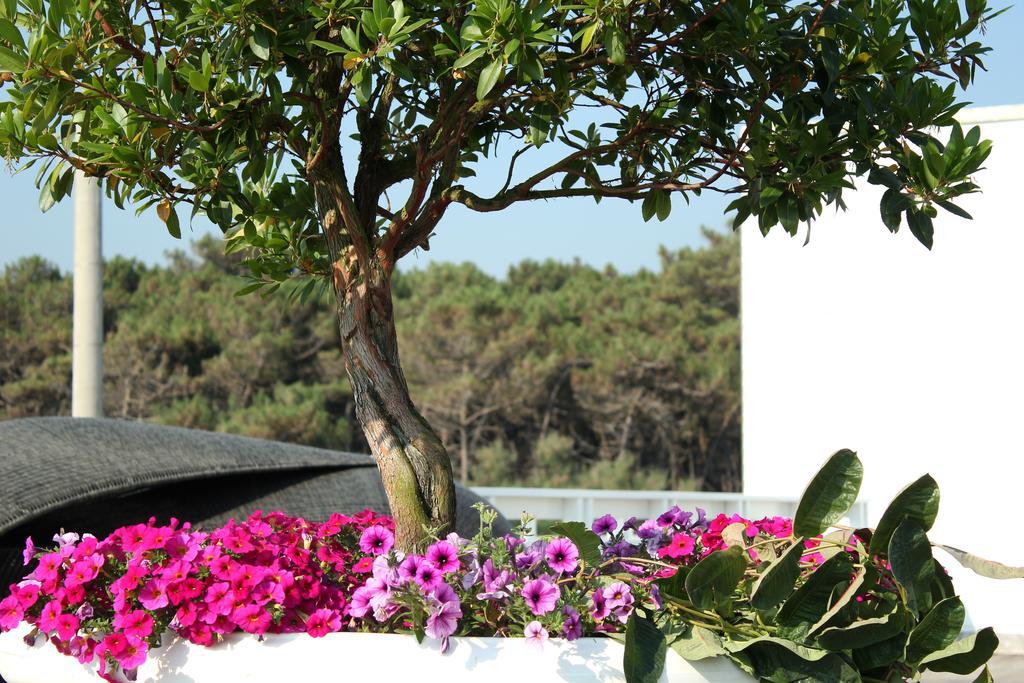 Terme Beach Resort Punta Marina Extérieur photo